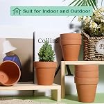 Pots en Terre Cuite vensovo de 3 po avec Drainage - 20 Paquet Pots de Fleurs en Argile, Pots de Pépinière Succulentes Idéaux pour Plantes, Artisanat, Cadeau de Mariage
