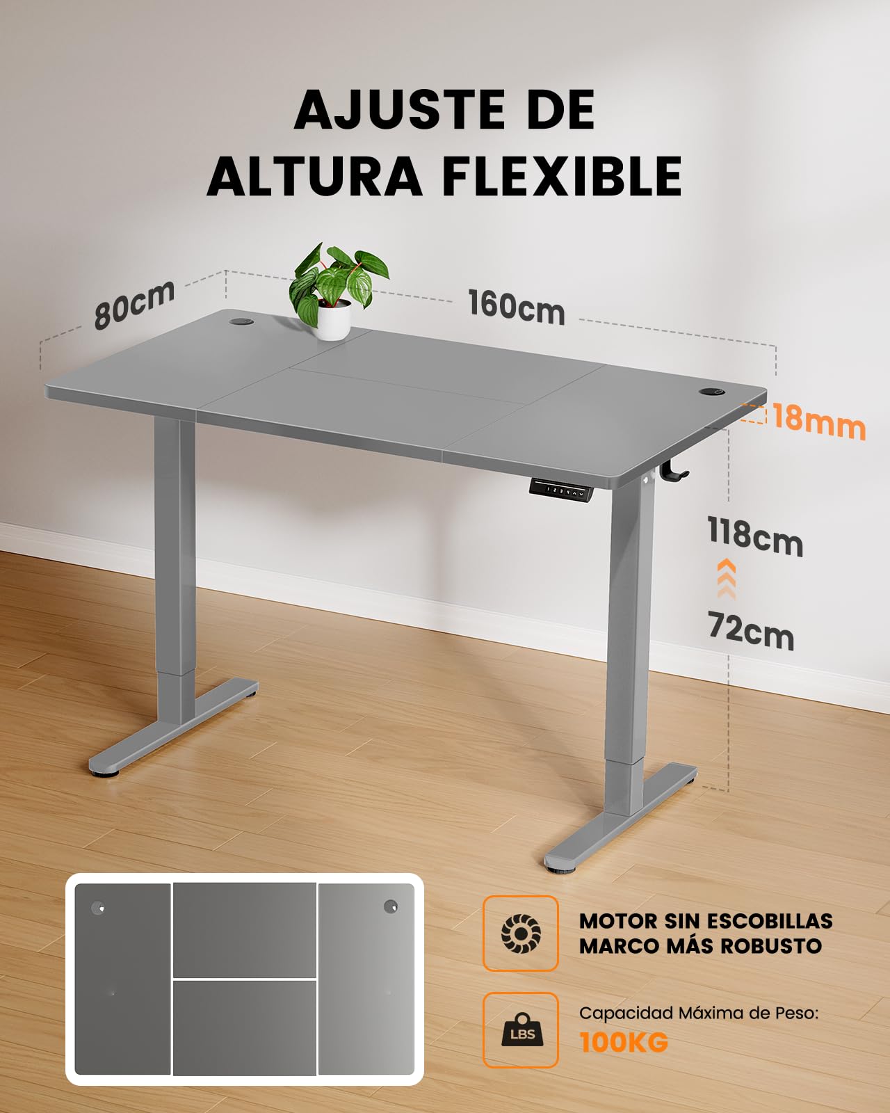 ErGear - Escritorio eléctrico regulable en altura, 160 x 80 cm, capacidad de carga de 100 kg, escritorio eléctrico con motor sin escobillas avanzado, función silenciosa, marco de metal resistente