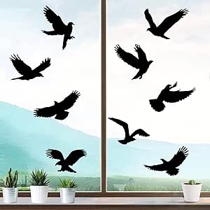 16 Vogelschutz-Aufkleber Für Fenster - Transparent & Rückstandslos Entfernbar