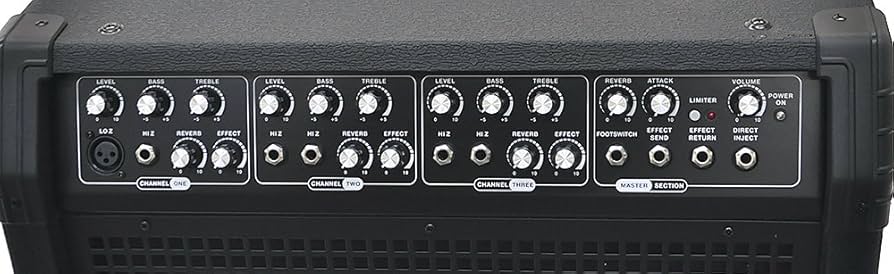 Amazon.co.jp: PLAYTECH プレイテック キーボードアンプ JAMMER KB2