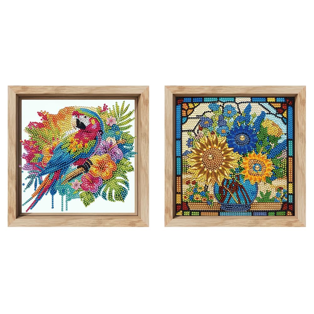 5D Diamond Painting Kit 20x20cm Vase with Frame Unique Shaped Gem Art for Beginners Home Wall Decor