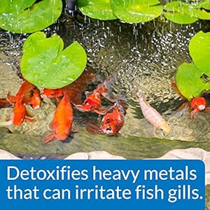 Api pond chlorine heavy metal neutralizer pond water neutralizer 32 ounce bottle  urban country home decor