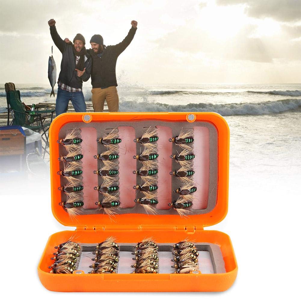 Mouches de Pêche Lot de 40 Leurres de Pêche à La Mouche en Acier au Carbone avec Boîte Étanche pour Les Amateurs de Pêches au Bar, à La Truite et au Saumon