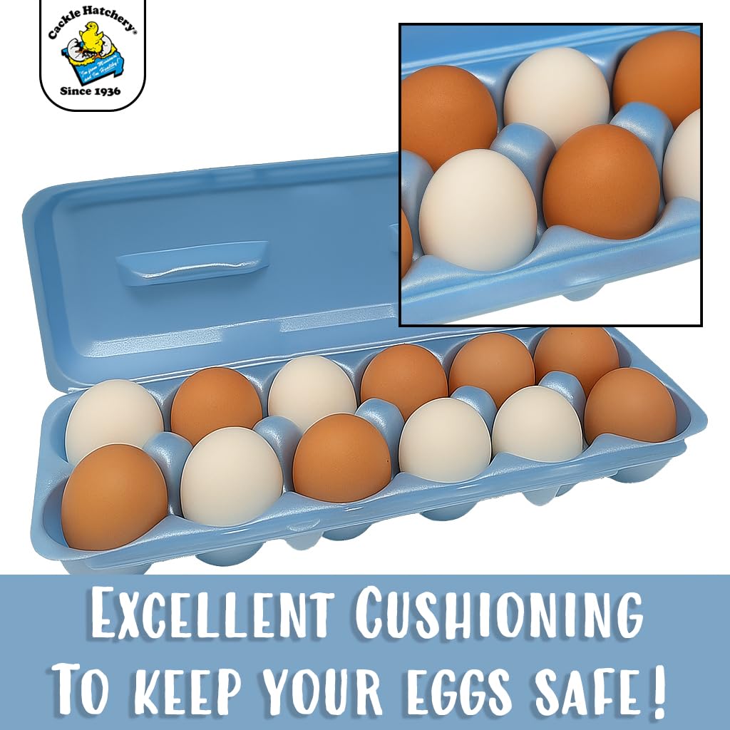 Cackle Hatchery Cartones de espuma para huevos de gallina con capacidad para 1 docena de huevos (azul, 15 unidades)