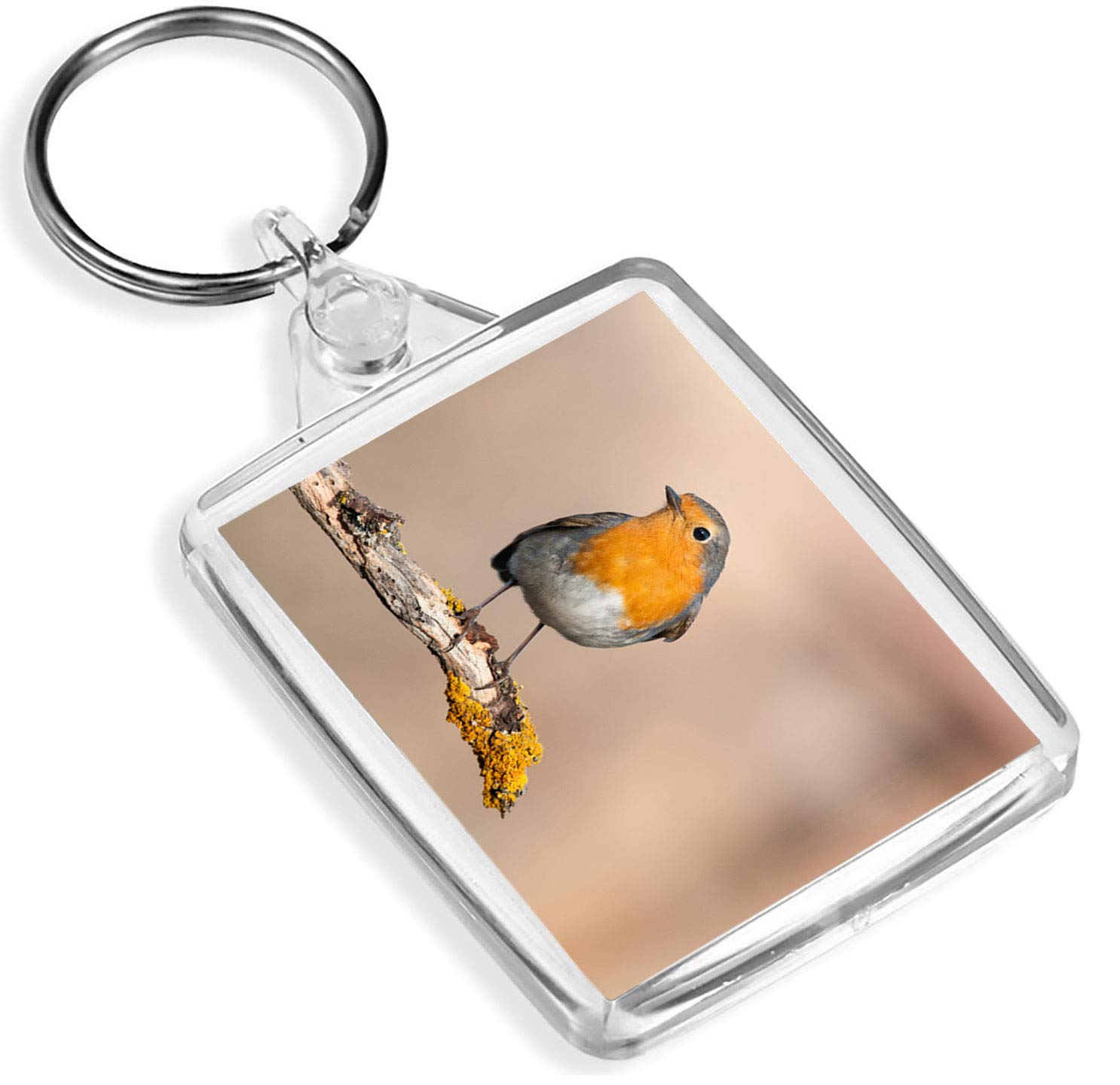 Destination Vinyl Keyrings Unisex Multi Cute Red Robin Bird Keyring - Ip02 - Garden Animals Birds Fun #2062