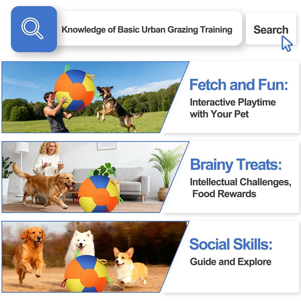 Pelota de pastoreo con pestañas para perros, caballo, pastor australiano, resistente, inflable, Big Collie, fútbol para mascotas con correas para razas pequeñas, medianas y grandes, juguetes de