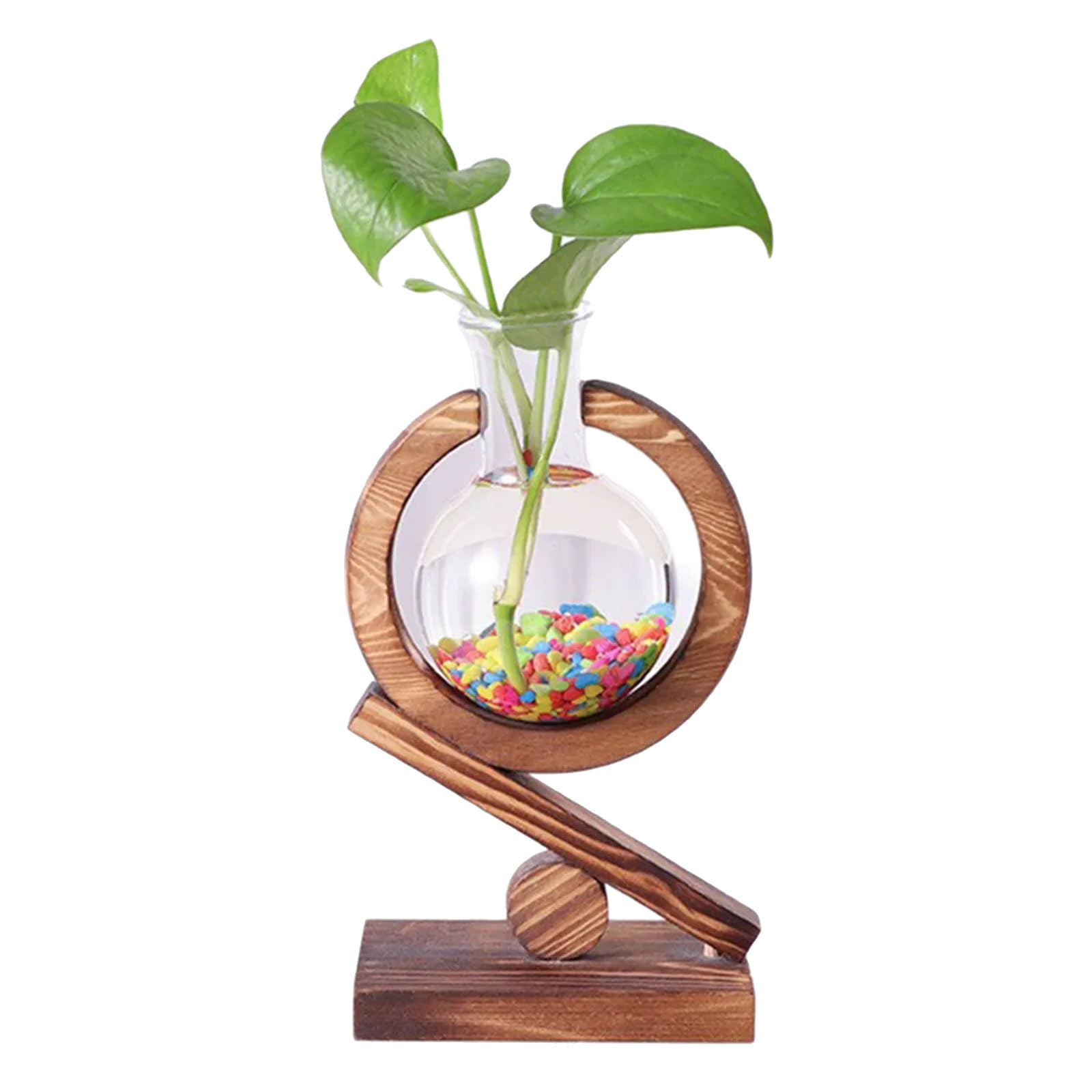 Kaeltsyn Wood Frame Hydroponic Planter Display Great for Tabletop Arrangement and Gardening Lovers Tabletop Plant Propagation Rack