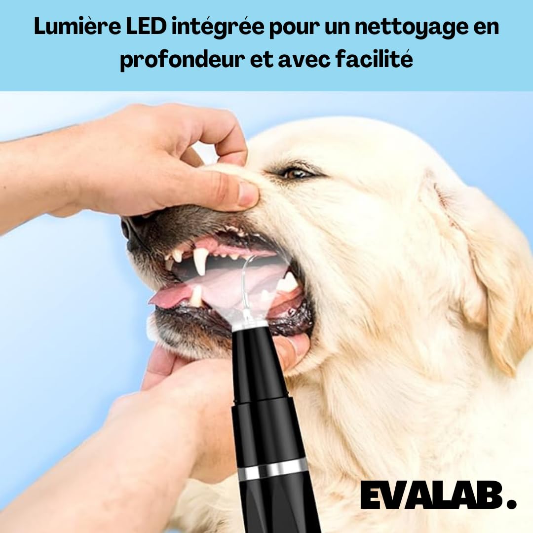 Cepillos de dientes para perros y gatos – Kit de detartrage dental – para limpiar los dientes de perros y gatos