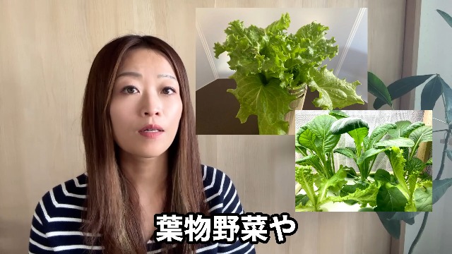 水耕栽培まどべじ!: 窓辺でカンタン野菜づくり | 利倉夏実 |本 | 通販