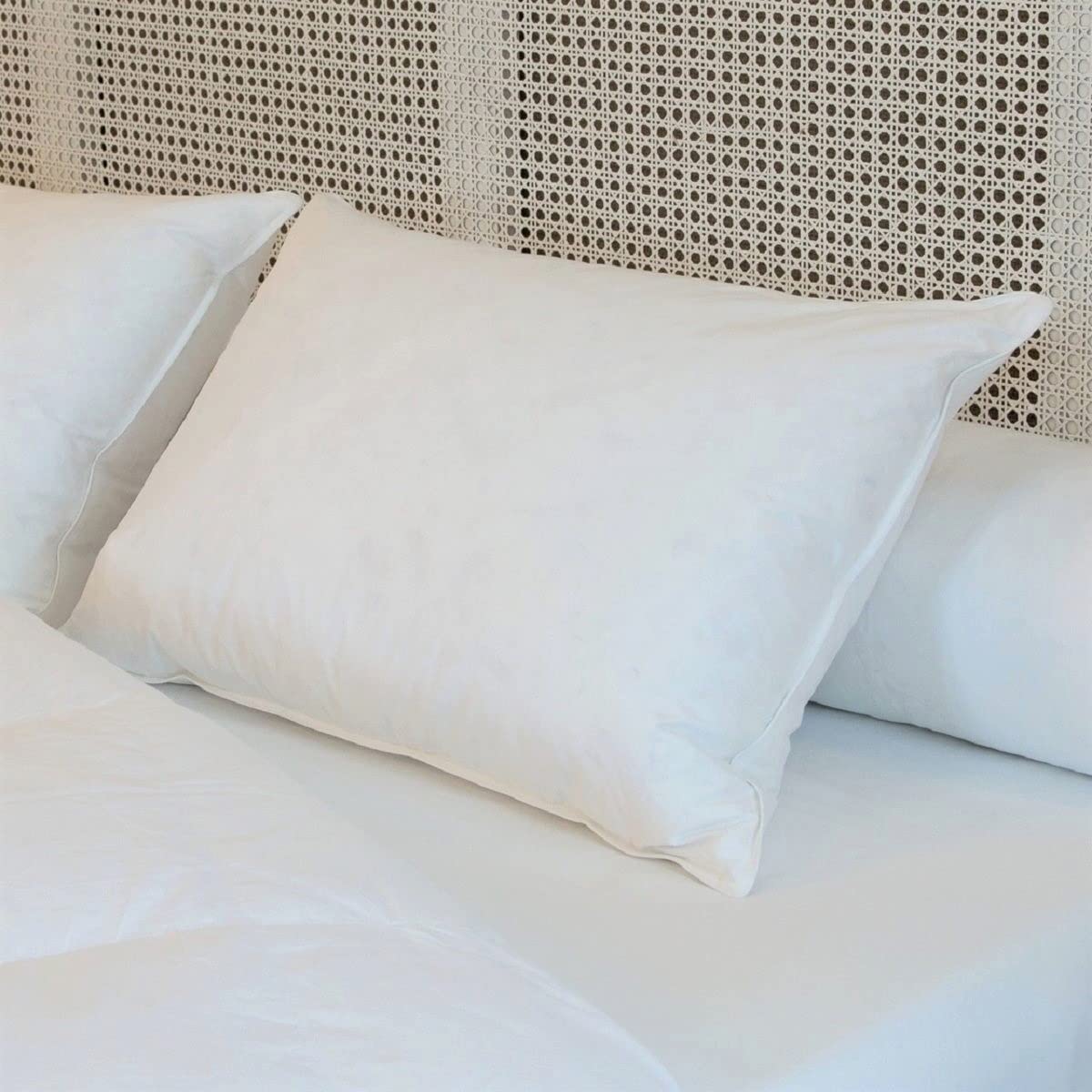 CASTEX - Oreiller Mi-Ferme Plume-Duvet 50x70