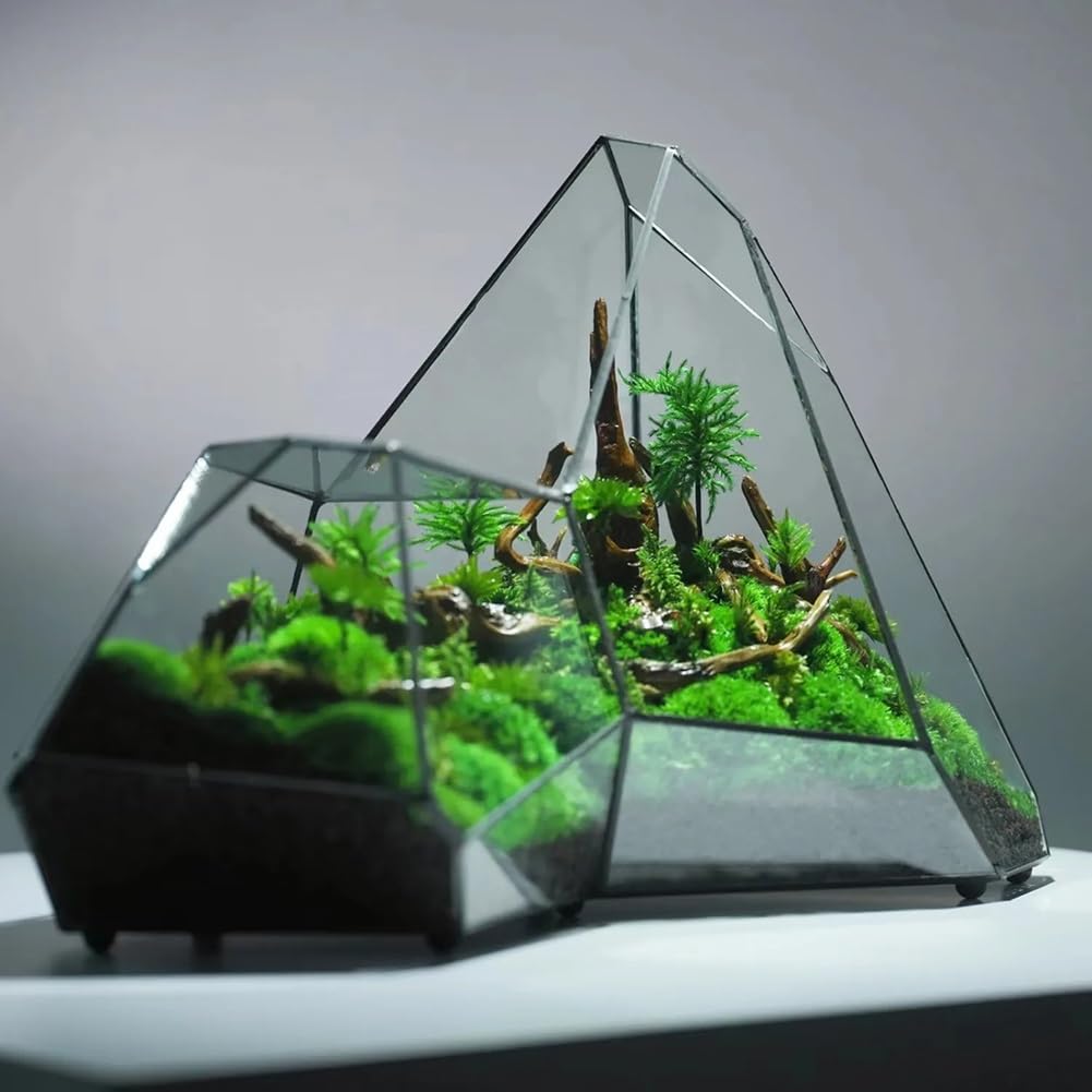Małe nieregularne geometryczne terrarium, szklane terrarium geometryczne, miniaturowe szklane terrarium, doniczka, ręcznie wykonane, nieregularne pojemniki do terrarium na sukulenty, paprocie, rośliny