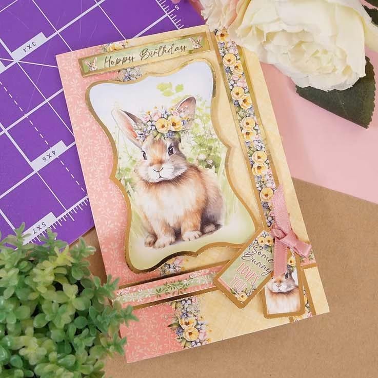Hunkydory - Tarjetas rápidas: kit para hacer tarjetas (mascotas perfectas)