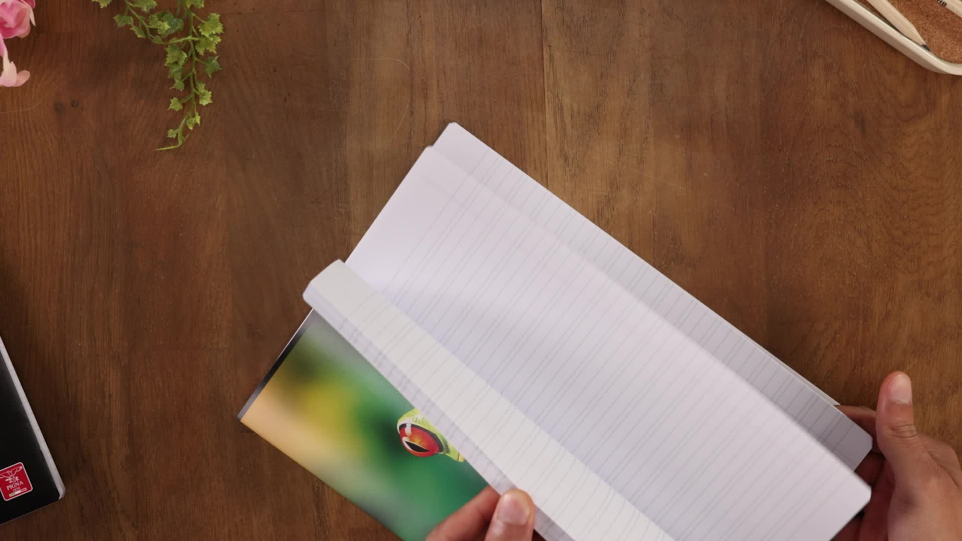 Carnet Maxi Pigna Animal A4 - 80 Pages, Papier 80 G/m², Couvertures Animaux, Lignes, Paquet De 10, Pour école Et Bureau