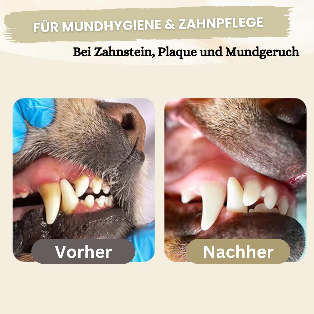 Zahnpflege Pulver für Hunde 300g - [Vorteilspack] - Zahnsteinentferner Hund - Zahnpflege gegen Mundgeruch & Zahnstein - Plaque Entfernung - Zahnpflege Hund - Futter Topping - Dental Pulver für Hunde