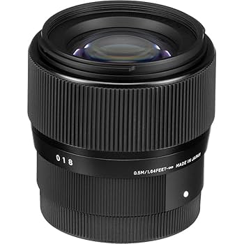 【Lマウント】SIGMA 56mm F1.4 DC DN 単焦点レンズ Amazon.co.jp: シグマ(Sigma) レンズ 56mm F1.4 DC DN Nikon