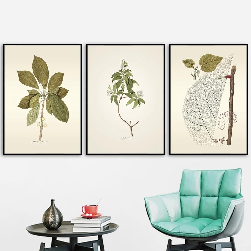 WBYZAC Botanical Posters-Abstract Plant Plant Poster Vintage Wall Art Canvas Painting Nordic Posters and Prints Wall Pictures for Living Kitchen Room Decor-60 * 80cm*3PCS (No Frame)