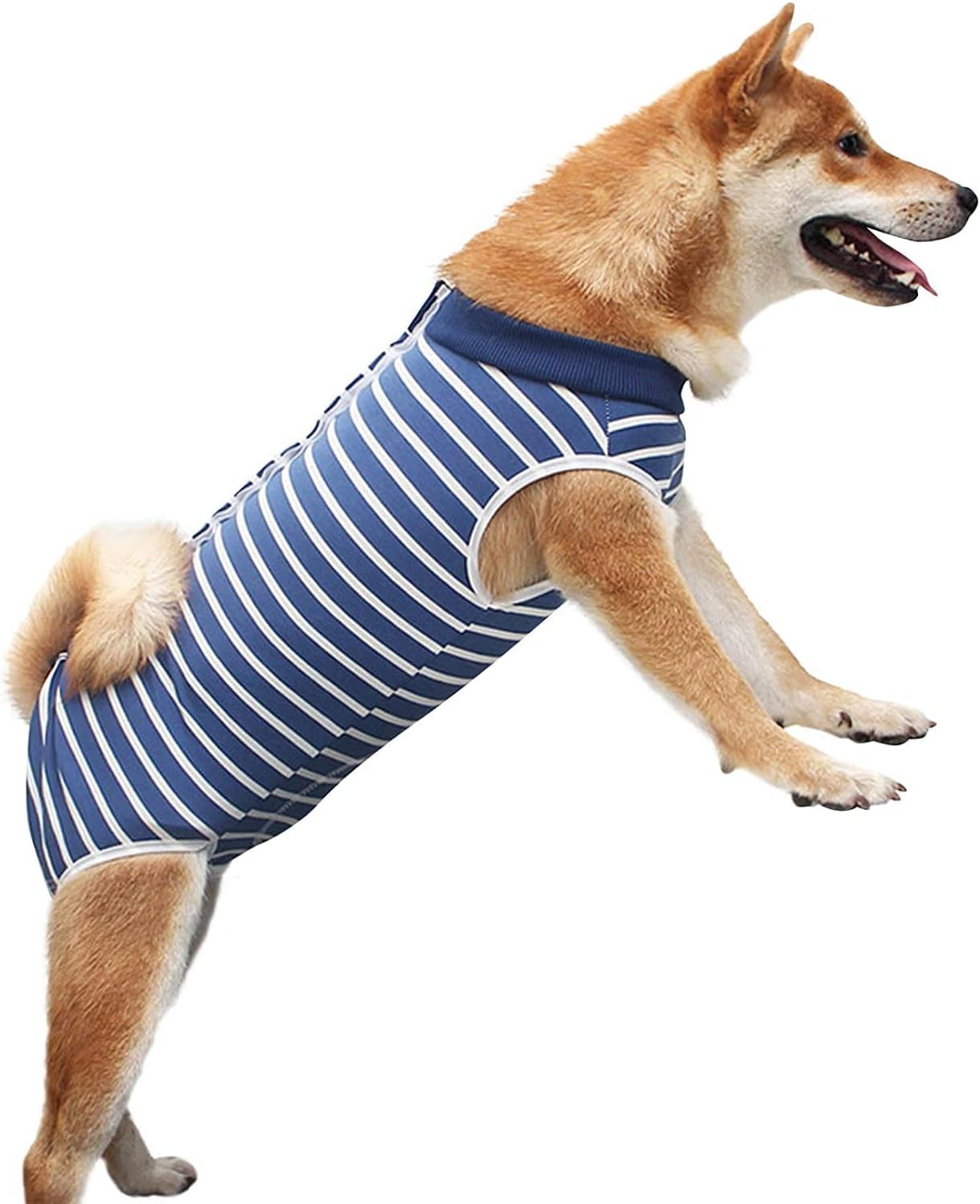 Dog Recovery Suit, Bandages Cone E-Collar Alternative Professional Protective Shirt for Male Female Dogs & Cats After Surgery, Pet Post Operative Jumpsuit for Abdominal Wounds (XL)