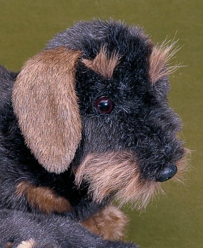 Förster Stofftiere 1508 Rauhaardackel 45cm – Bild 3