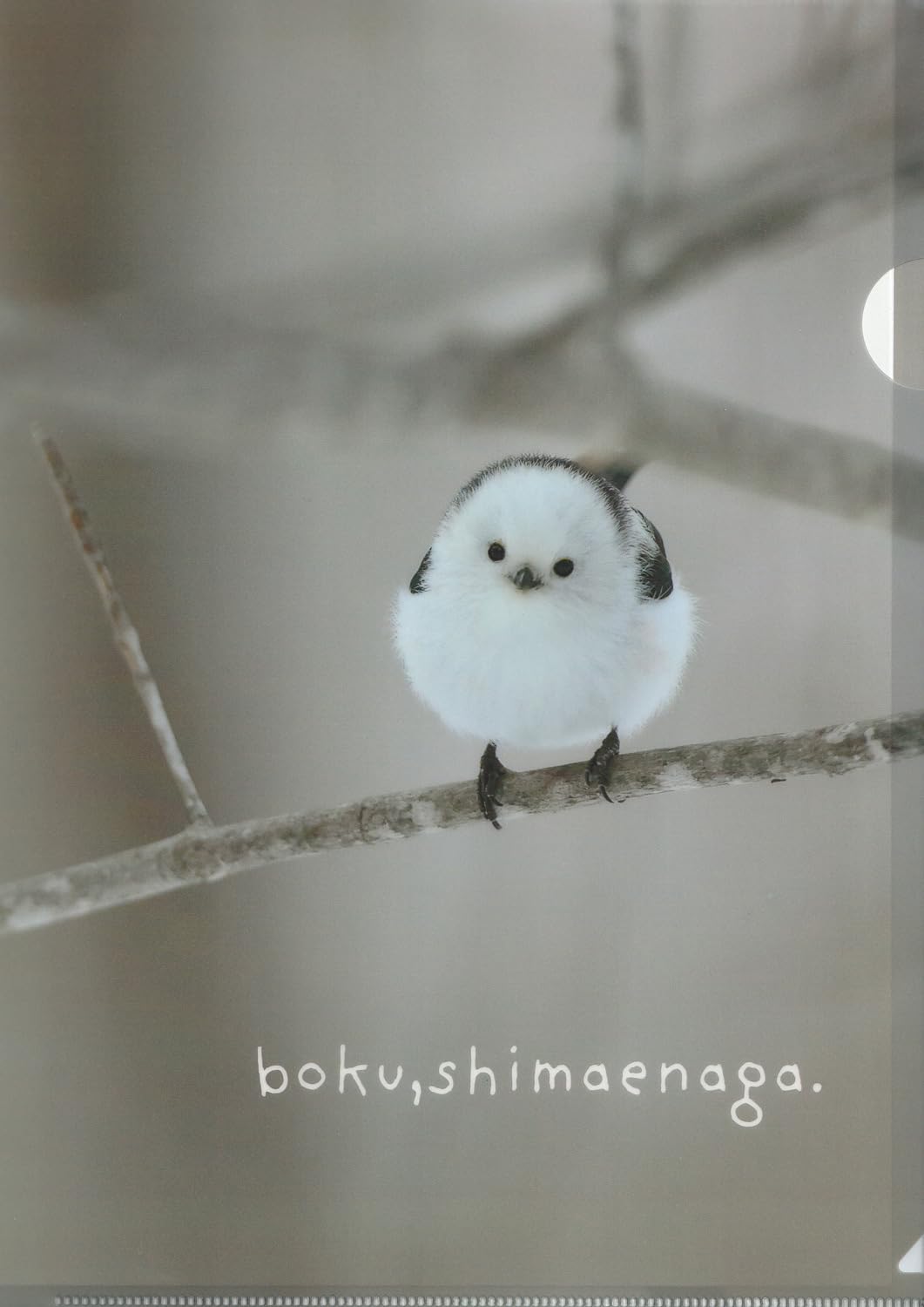 しまめなが専用ページ 確認用 ガラス細工 シマエナガ