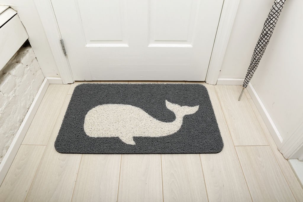 KIKKERLAND Zerbino Whale