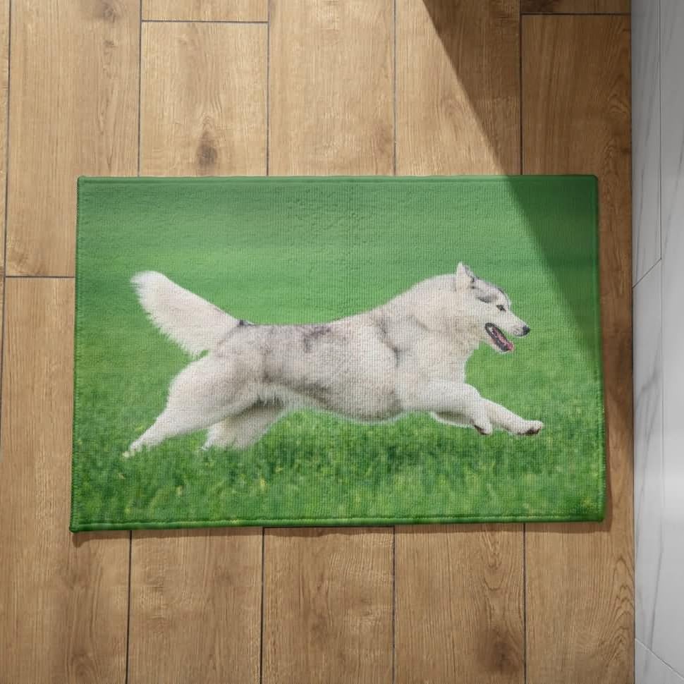 Tapis de sol CEVAN grand format pour une cuisine propre et une entrée accueillante