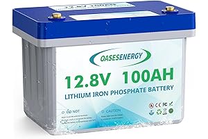 Vestwoods 12V 100Ah LiFePO4 Battery: 15,000 Cycle Powerhouse