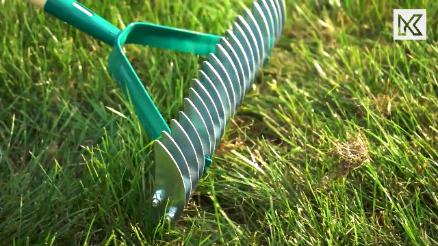 KADAX Snijdrek van hoogwaardig staal, dubbelzijdige vloerbeluchter, gazonventilator, handmatige verticuteermachine (37 cm werkbreedte), cultivator