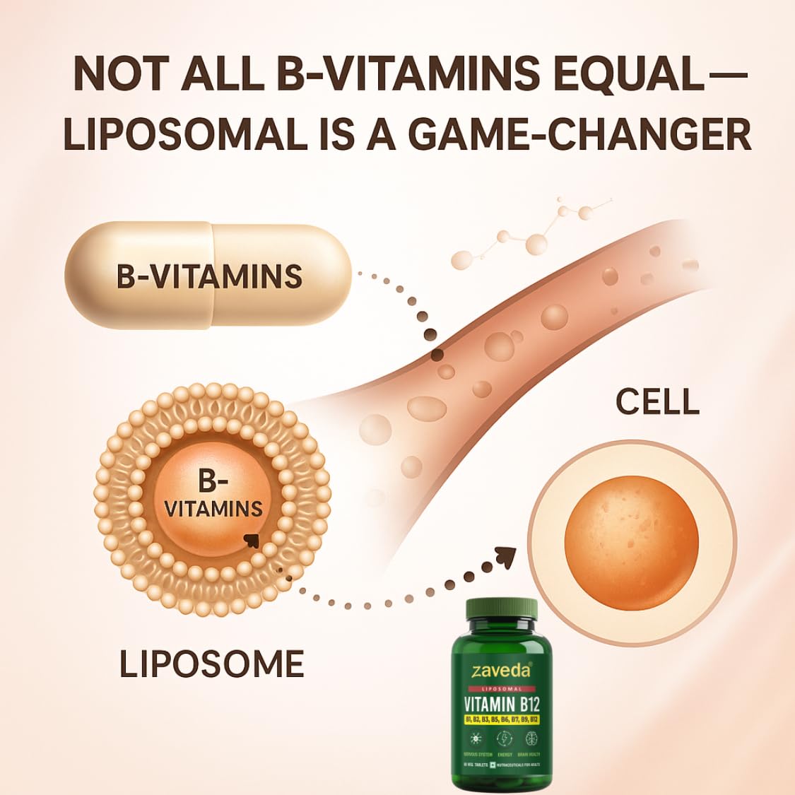 Liposomal Vitamin B12 with B1, B2, B3, B5, B7, B9, 60 Nos. Veg. — Amazon image 3