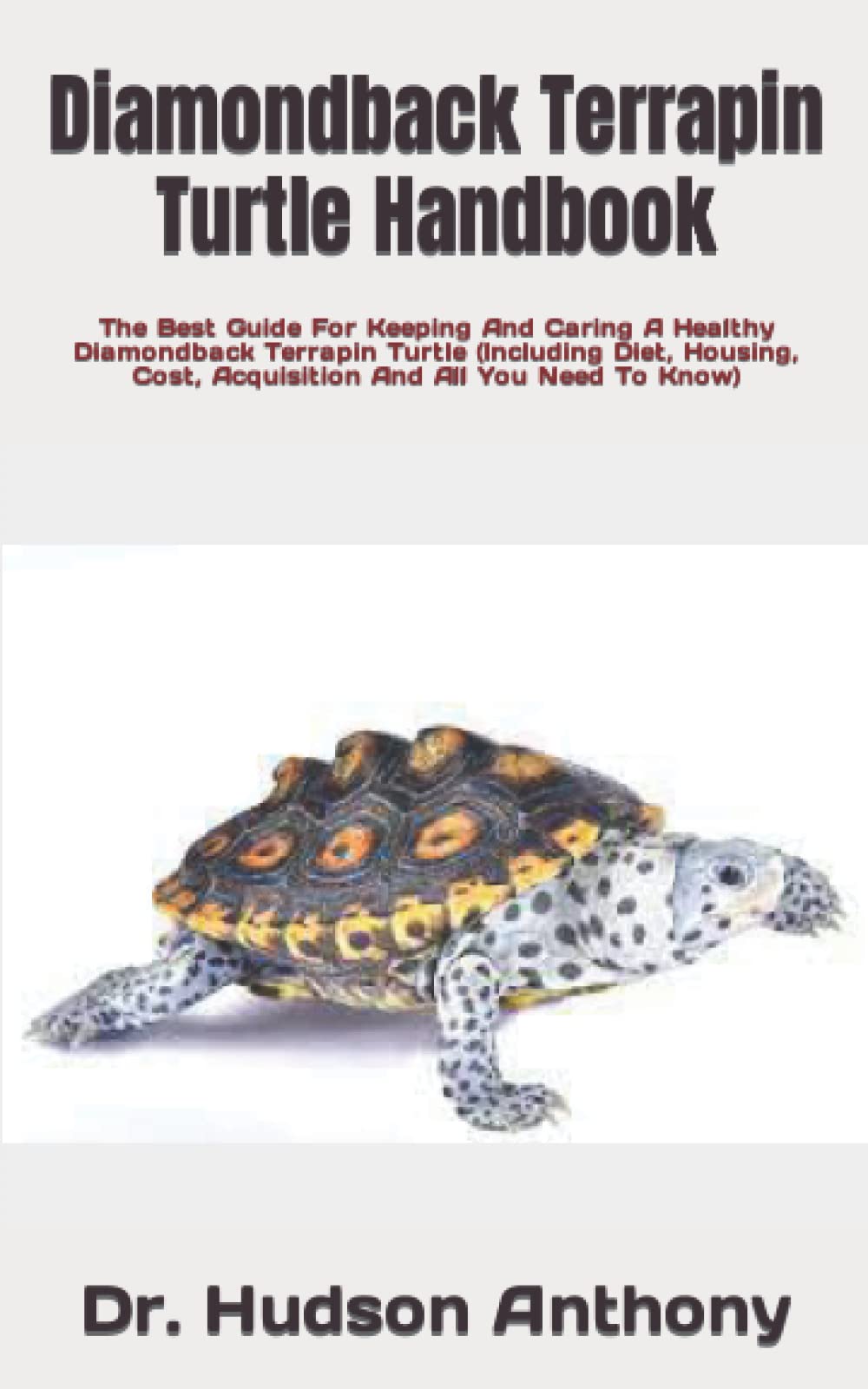 Buy Diamondback Terrapin Turtle Handbook The Best Guide For Keeping