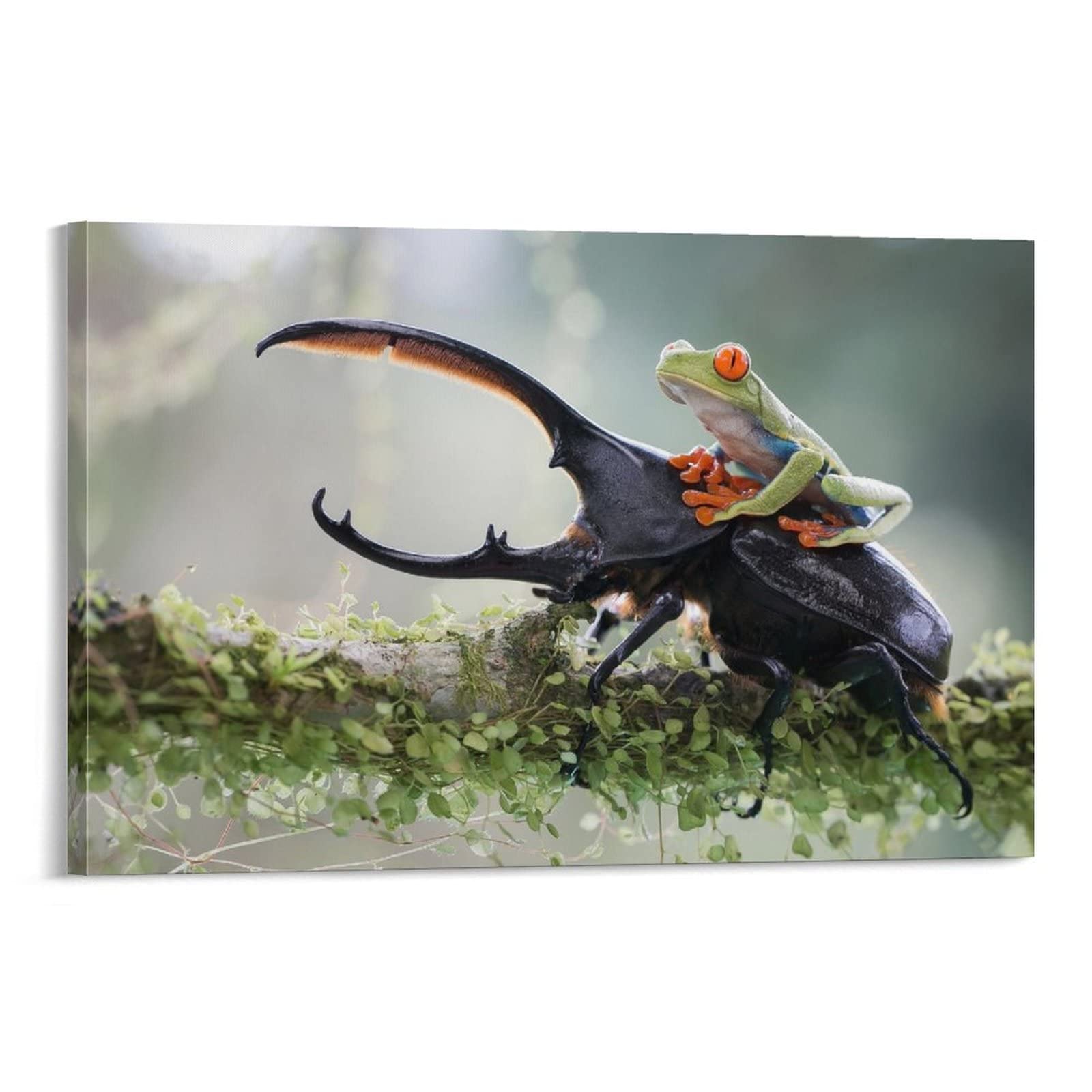 Animal Funny Poster Hercules Beetle Frog Print on Canvas Wall Art for Room Decor Gift Poster 08x12inch(20x30cm)