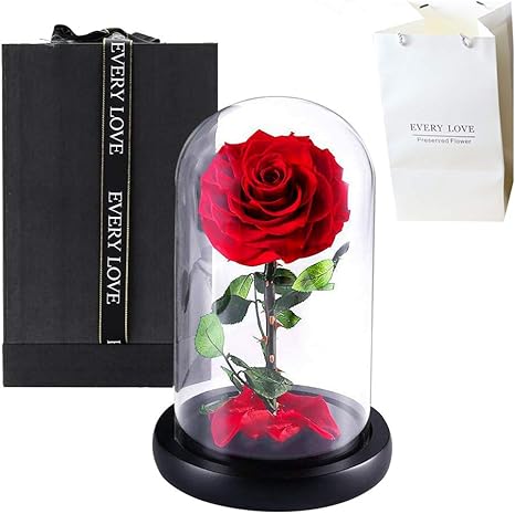 Amazon Com Le Home Forever Real Rose Everlasting Flower Preserved Fresh Flower Live Enchanted Rose In Glass Dome Cover With Gift Box Bag For Valentines Day Mothers Day Anniversary Birthday Wedding Red Home