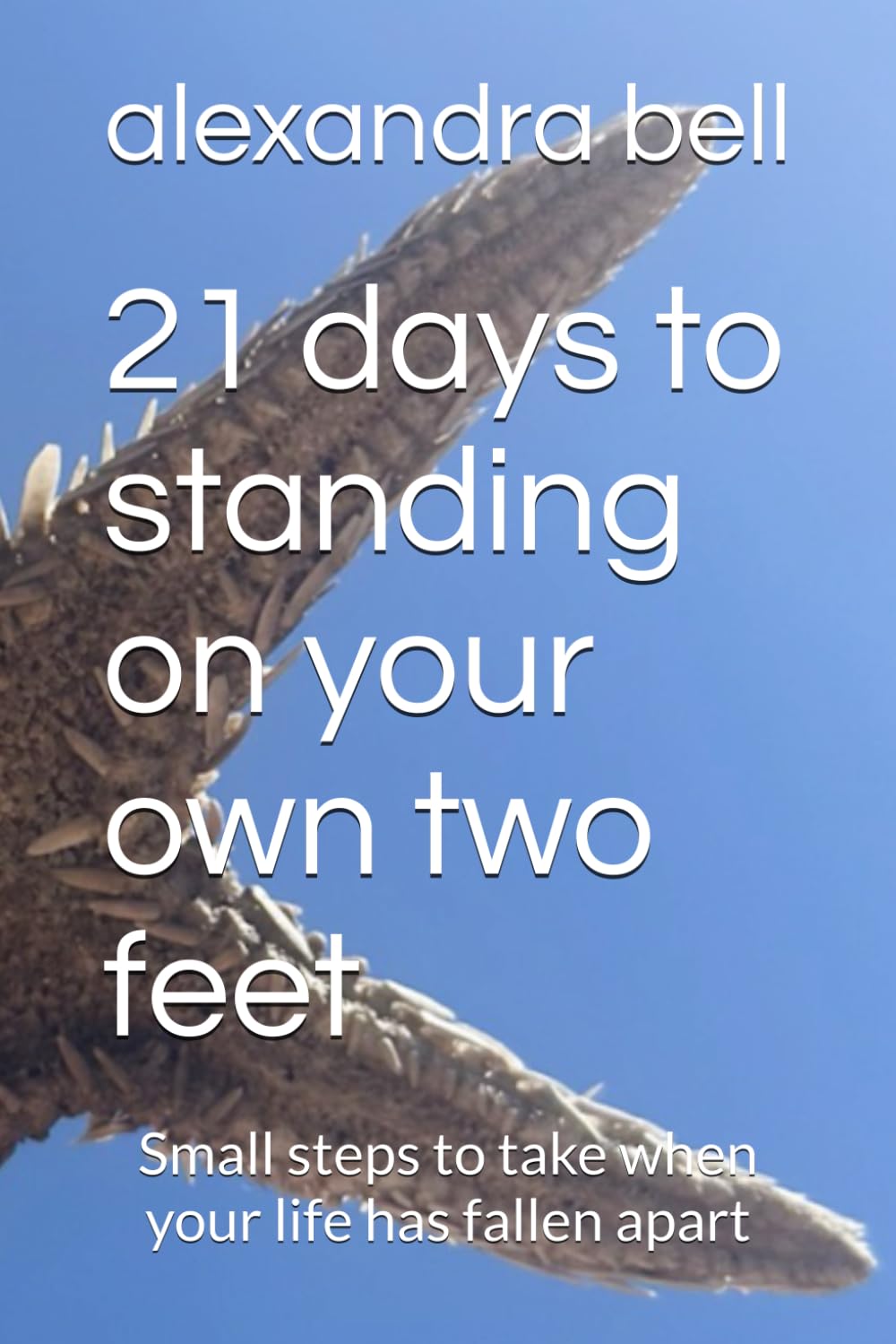 21 days to standing on your own two feet: Small steps to take when your life has fallen apart
