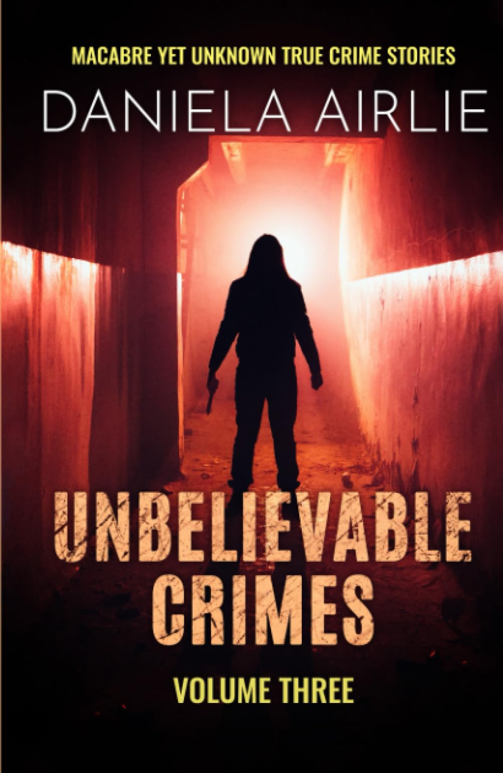 Unbelievable Crimes Volume Three: Macabre Yet Unknown True Crime Stories