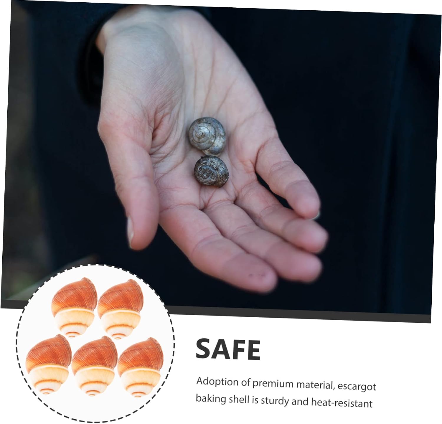 Yardwe 5sets Cooking Snail Shells Escargot Accessories Safe and Natural Snail Shells for Home and Restaurant 5pcs*5