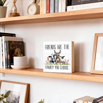 TOUNER Friends Are The Family You Choose Wood Box Sign, Inspirational Friendship Wood Desk Decor, Christmas Birthday Thanksgiving Best Friend Table Display Gifts for Grandma Mom Aunt BFF Sister