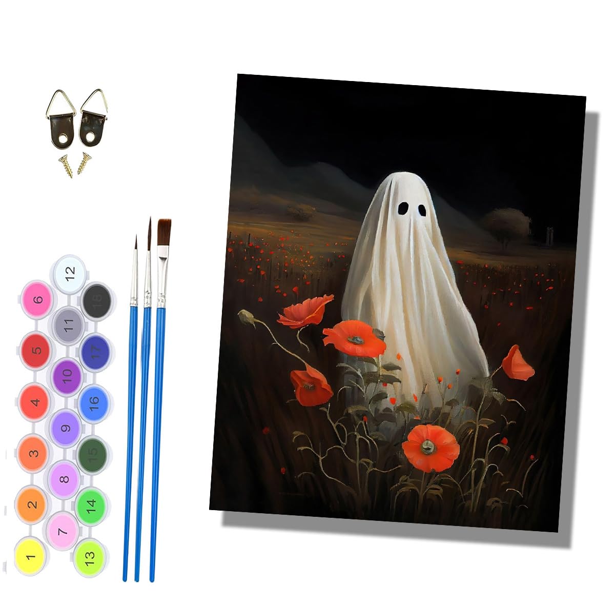 HONGPZH Paint by Numbers for Adults and Beginner Painting by Number Without Frame Oil Paintings on Canvas House Wall Decor 16x20in Poppy Ghost