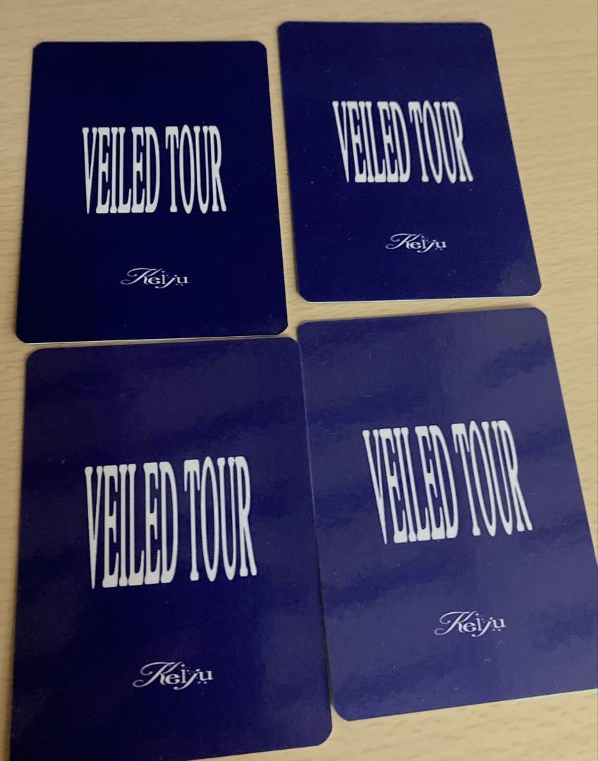 KEIJU／VEILED TOUR ☼ KEIJU VEILED TOUR. #keiju #live #veiledtour