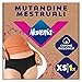Nuvenia Mutandine Mestruali in cotone biologico, Lavabili e riutilizzabili per Giorno e Notte, Flusso Moderato-Abbondante, Colore Nero, Taglia XS, 1 confezione, Comfort fit