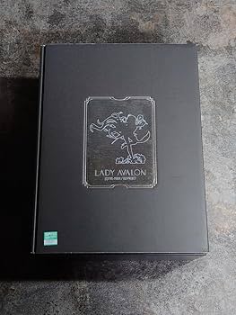 干潟為四　レディ・アヴァロン FGO ガレージキット ガレキ】FGO 干潟為四 レディアヴァロンを表面処理、仮組みして