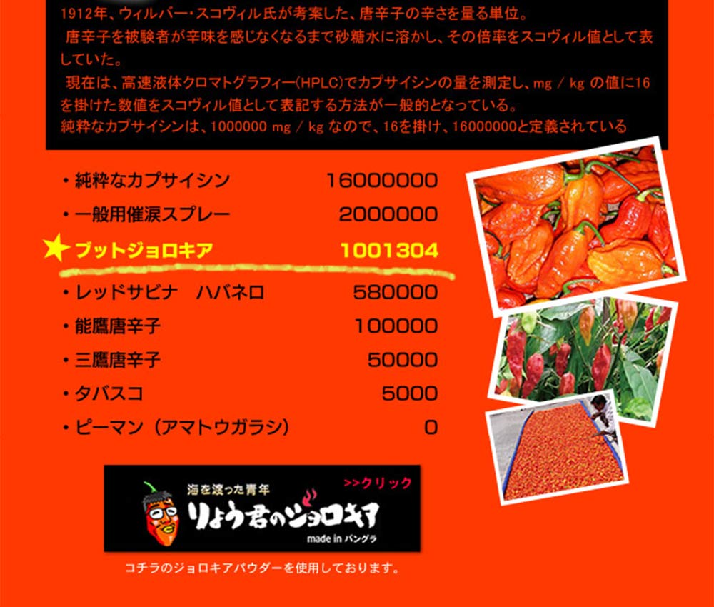Amazon.co.jp: 磯山商事 18禁カレー 危険 200g : 食品・飲料・お酒