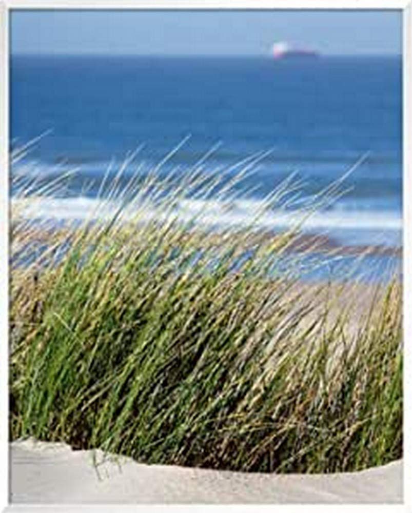 International Graphics - Framed art print - Matthias, Weber - ''Elyme des sables''- 41 x 51 cm - Frame Color: White - Series ATHOS