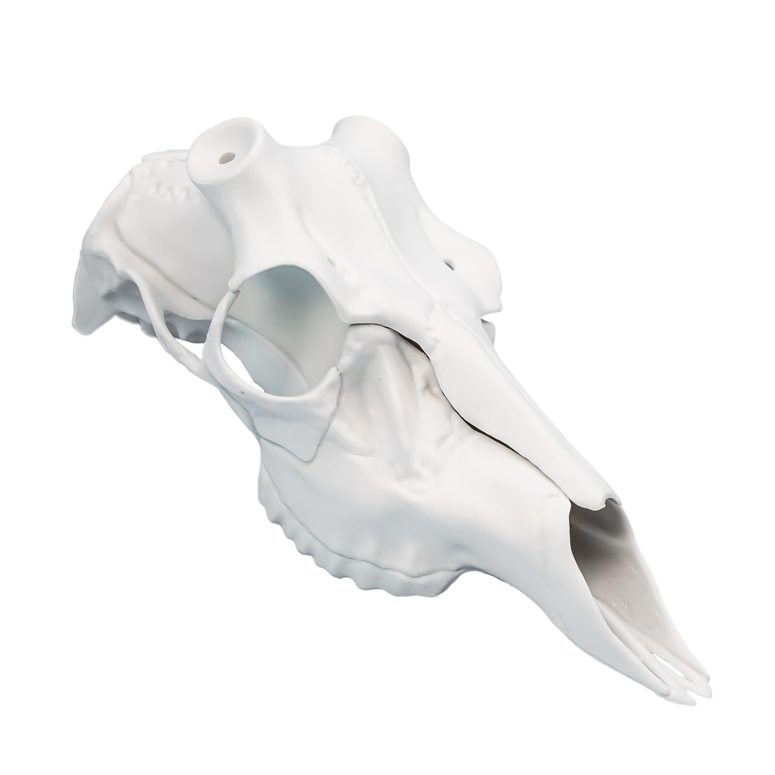 Mountain Mike's Reproductions Skull Master - European-Style