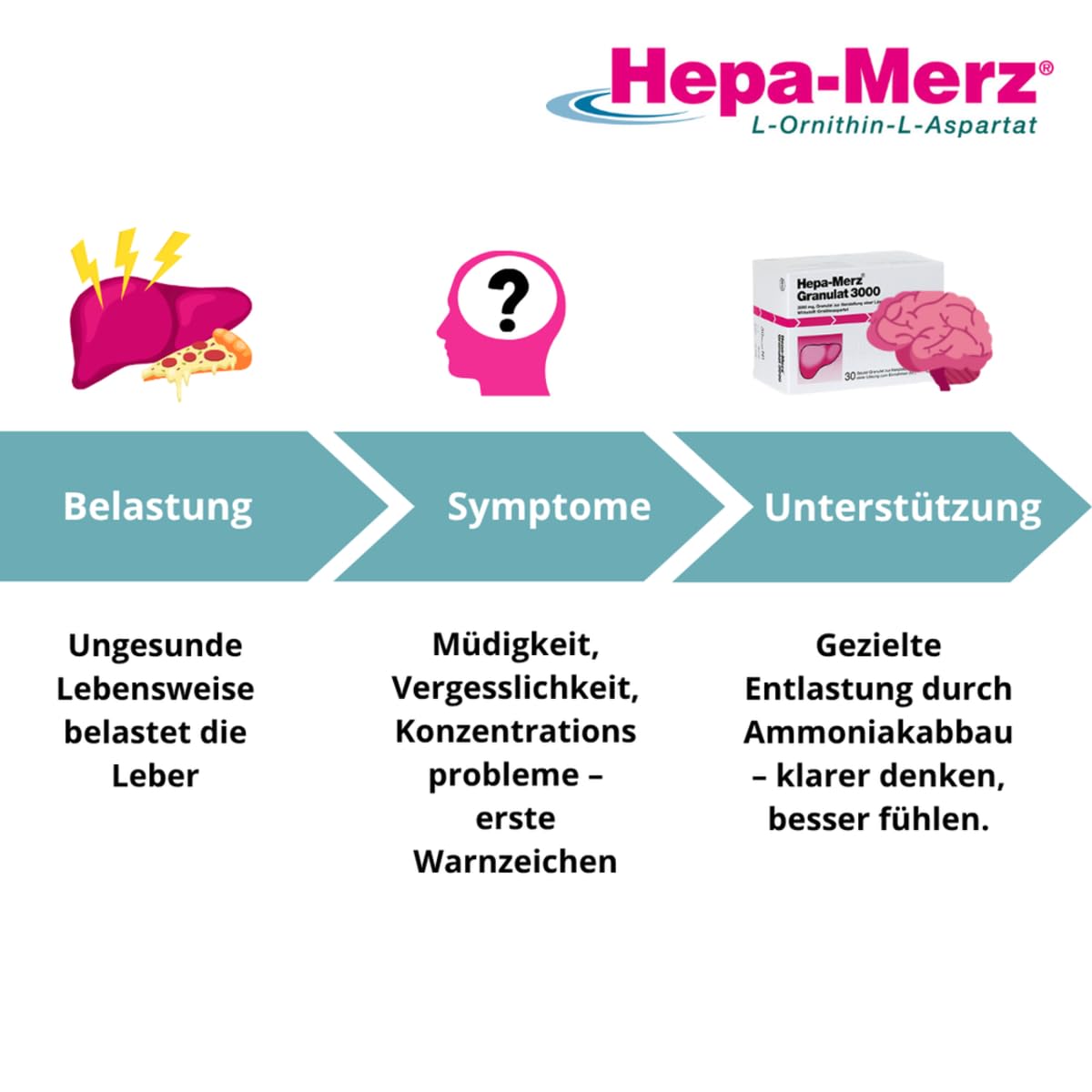 Hepa-Merz® Granulat 3000 bei chronischen Lebererkrankungen wie (alkoholischer) Leberzirrhose, Fettleber oder hepatischer Enzephalopathie