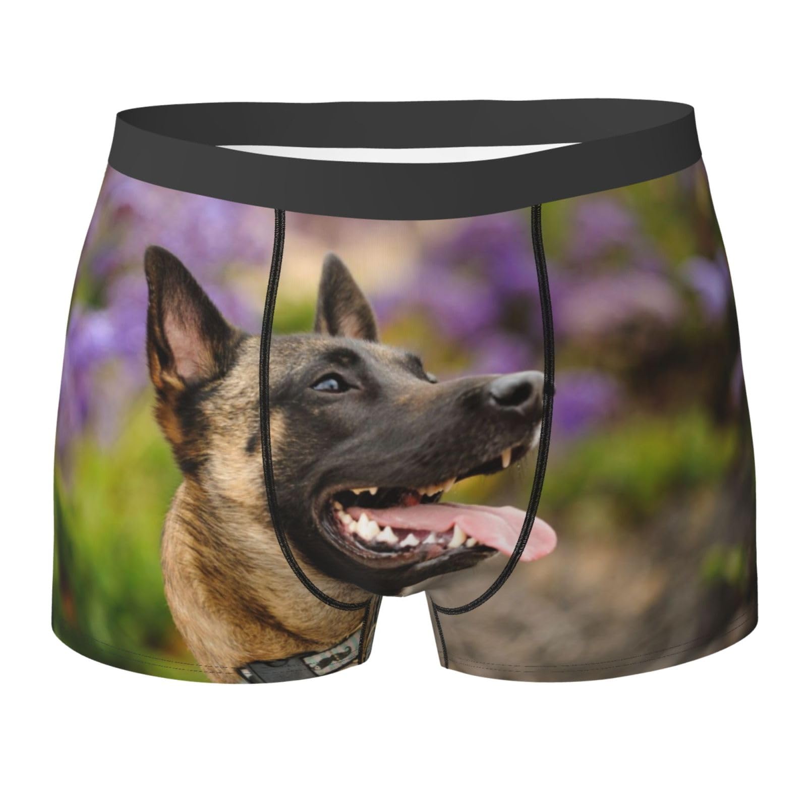 LfearTesa Belgian Malinois Pets Dogs Belgian Malinois,Underwear Men's Boxer Briefs Soft Polyester Underpants Personalised Mens Boxers Shorts,As Shown,XL