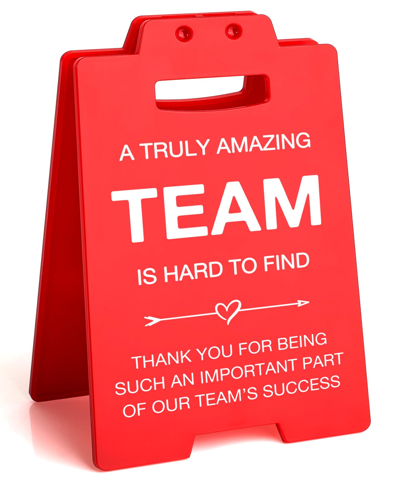 Team Gifts for Employees Team Members, Office Teamwork Gifts Team Appreciation Gifts Bulk for Colleague, Thank You Gifts Birthday Christmas Gifts for Teammate Coworkers-A TRULY AMAZING TEAM Presents