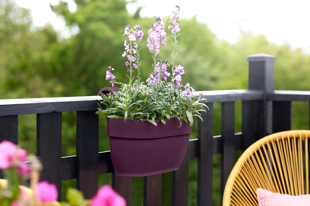 View 6