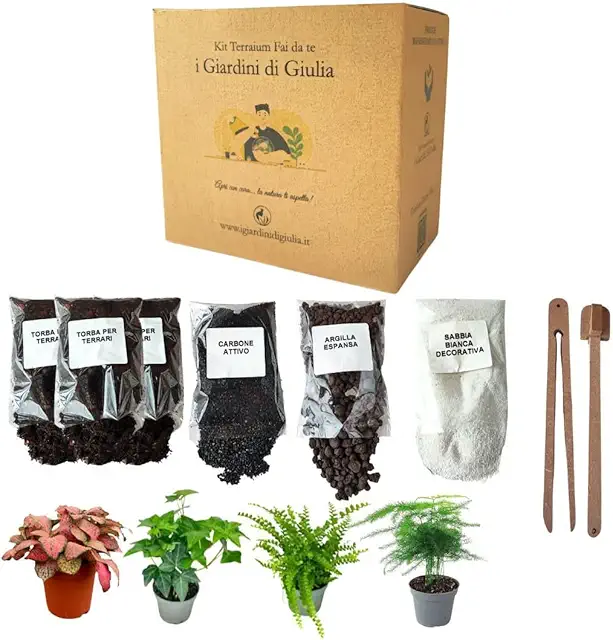 Kit Terrario Fai-da-Te - Crea Ecosistema Autosufficiente con Piante e Accessori