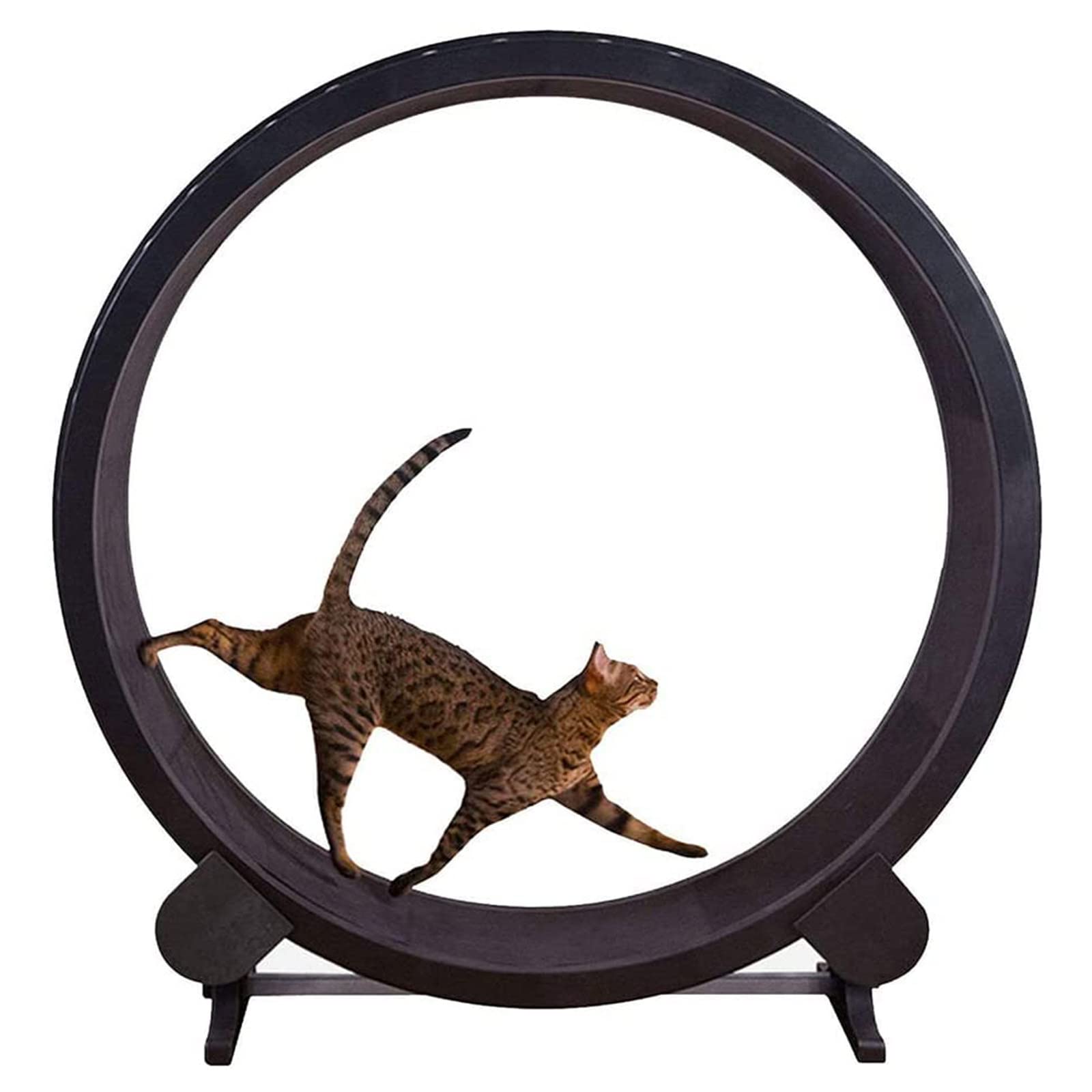 Rueda de ejercicio para gatos para tu gato de interior – Máquina de correr silenciosa para gatos – El mejor juguete para gatos pequeños y medianos – Juguete deportivo para gatos de fitness para gatos