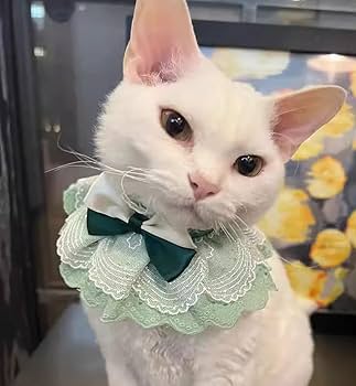 Amazon | WEILFYONK 猫犬首輪猫唾液タオル首輪猫服犬服手作り