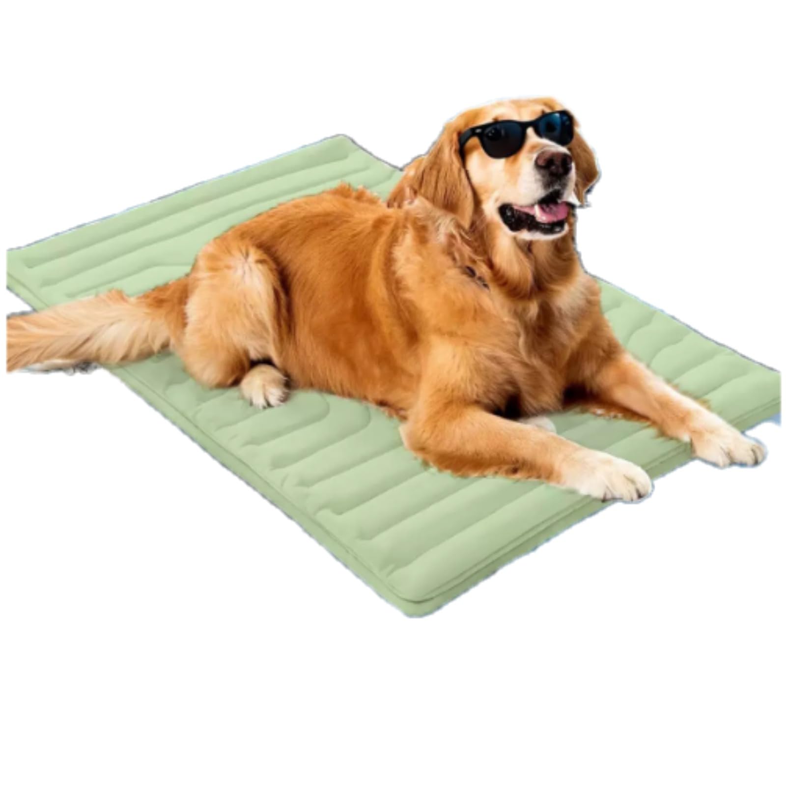 Pawyzie PawFroste Dog Cooling Mat, Pet Cool Mat for Dogs and Cats in Hot Summer, Ideal for Kennel, Crate and Travel (green,M-91 * 58 cm)